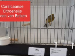 fb_img_1572018612354